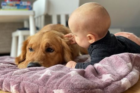 Marley&nbsp;(Gadi, m) am 27.01.2021