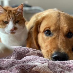 Marley (Gadi, m) am 27.01.2021