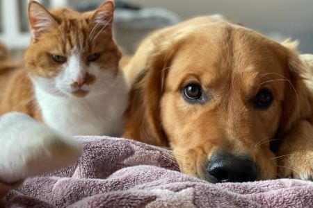 Marley (Gadi, m) am 27.01.2021