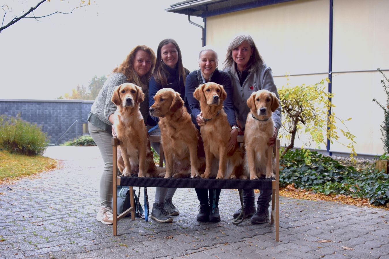 Neu geprüfte Herzens-Hunde