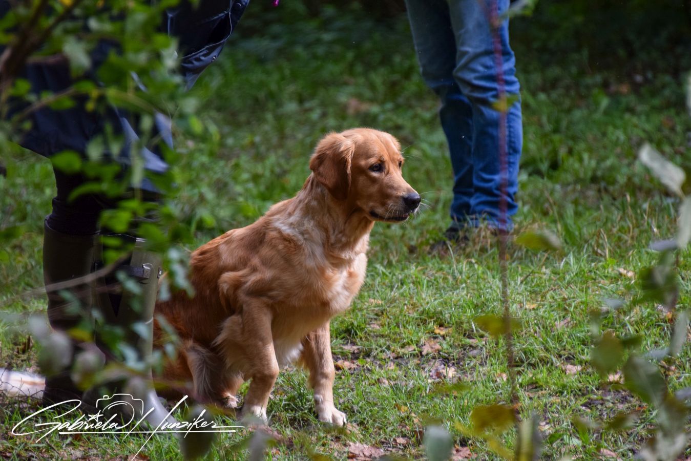 Lani beim Wesenstest